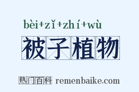 被子植物是什么意思的图片